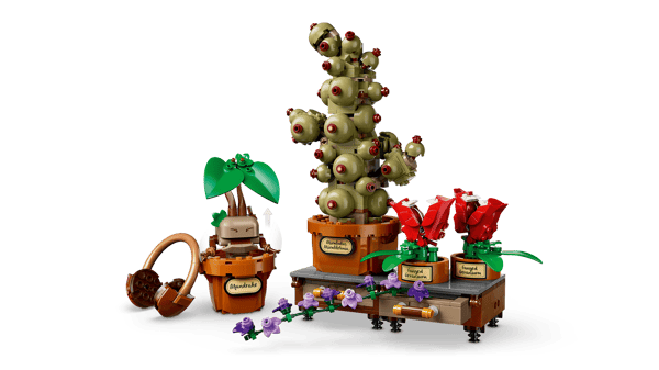 Hogwarts Herbology Plants — 6