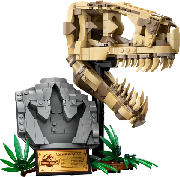 Dinosaur Fossils: T. rex Skull — 2