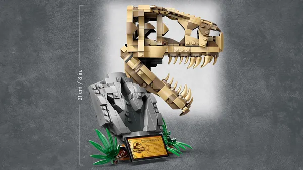 Dinosaur Fossils: T. rex Skull — 5