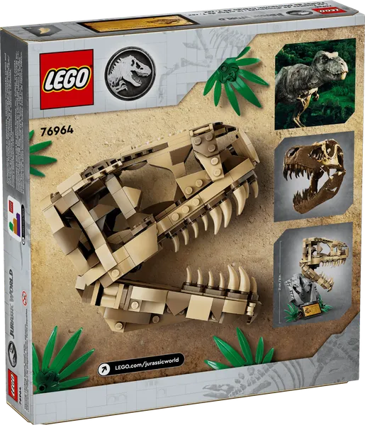 Dinosaur Fossils: T. rex Skull — 6