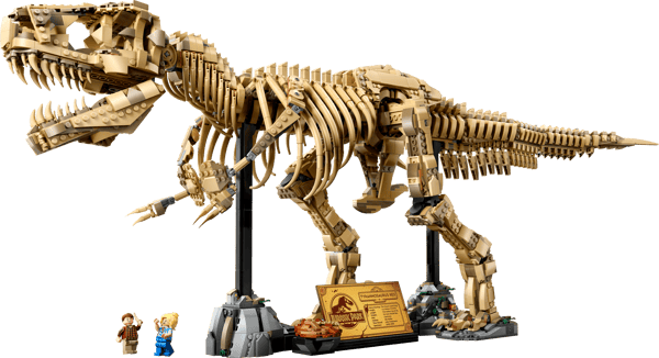 Dinosaur Fossils: Tyrannosaurus Rex — 2