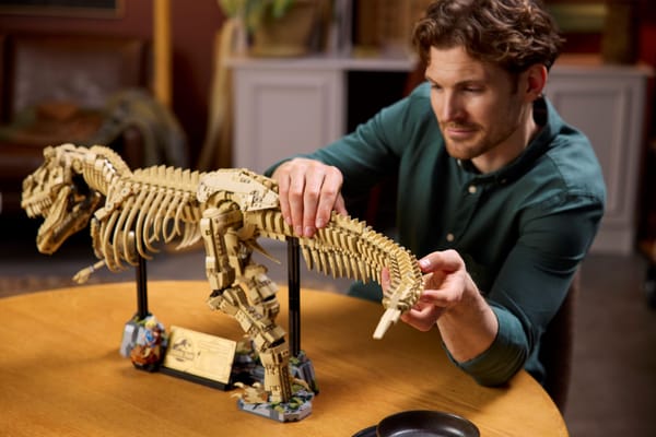 Dinosaur Fossils: Tyrannosaurus Rex — 10