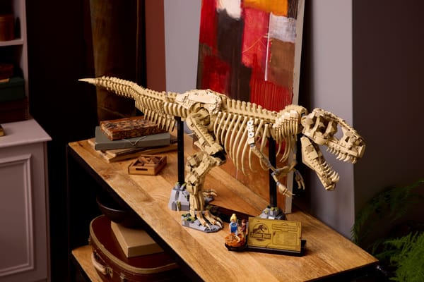 Dinosaur Fossils: Tyrannosaurus Rex — 12
