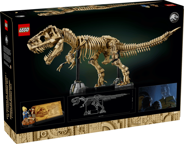 Dinosaur Fossils: Tyrannosaurus Rex — 13