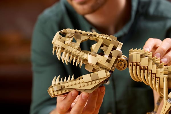 Dinosaur Fossils: Tyrannosaurus Rex — 8