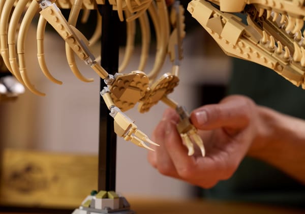 Dinosaur Fossils: Tyrannosaurus Rex — 9