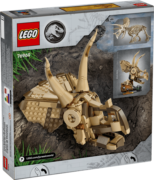 Dinosaur Fossils: Triceratops Skull — 8