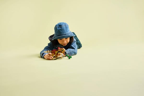 Baby Dinosaur Dolores: Aquilops — 7