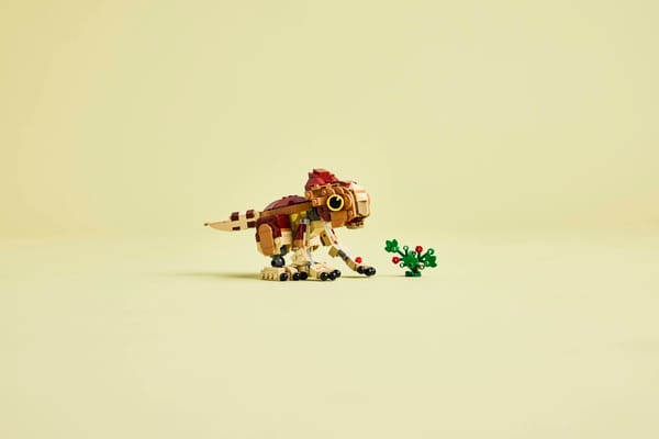 Baby Dinosaur Dolores: Aquilops — 9