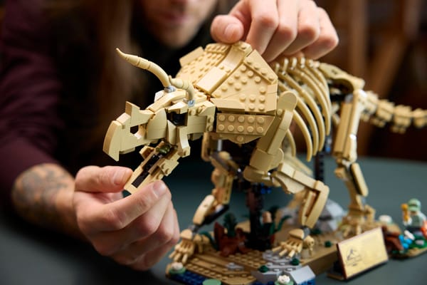 Dinosaur Fossils: Triceratops — 12