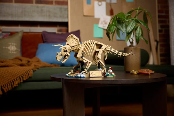 Dinosaur Fossils: Triceratops — 15