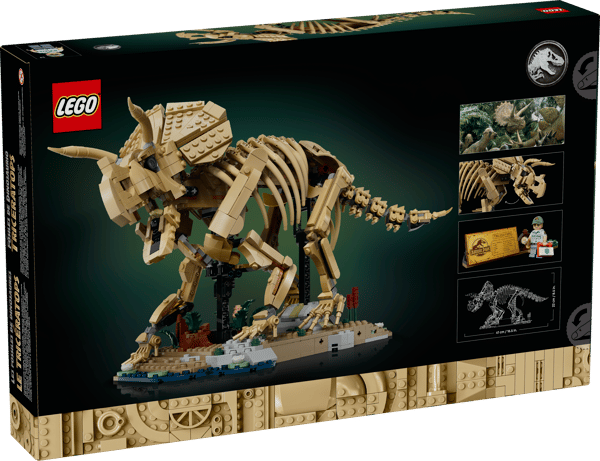 Dinosaur Fossils: Triceratops — 17