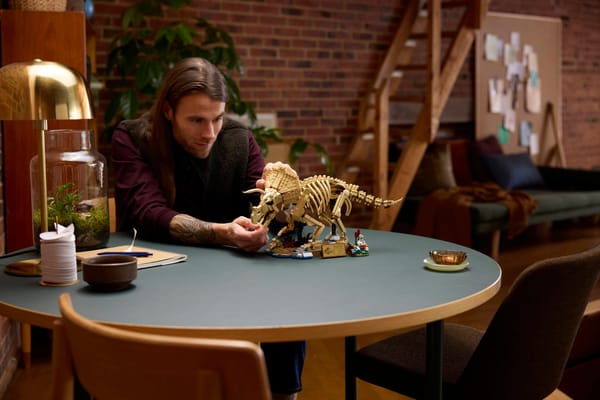 Dinosaur Fossils: Triceratops — 7